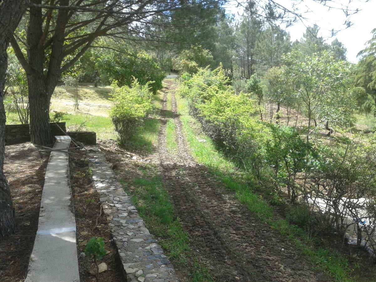 Quinta Das Lameirinhas มาร์เวา ภายนอก รูปภาพ